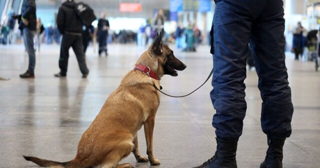 Rusiyada hava limanında Ermənistan vətəndaşı SAXLANILDI – FOTO