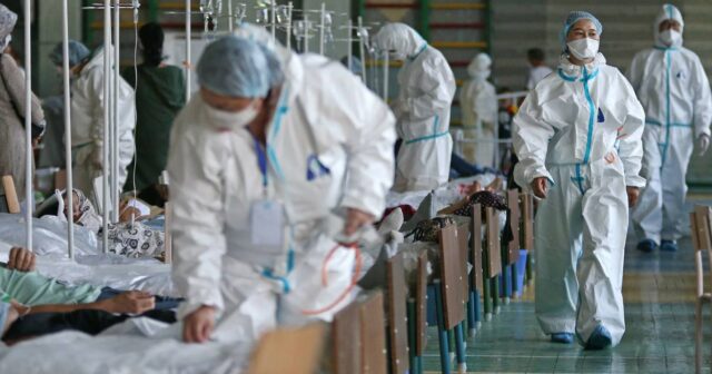 Ginzburg: Dünya çiçək xəstəliyinə bənzər epidemiya ilə təhdid olunur