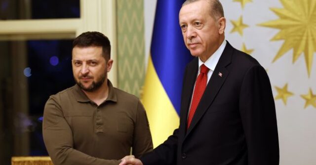Zelenski qərar verməzdən əvvəl Ərdoğanla görüşəcək – RİA Novosti