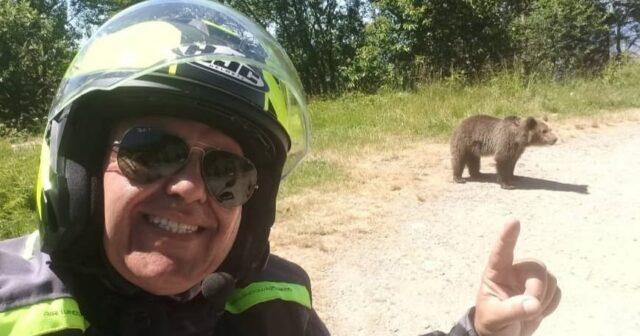 Ayı onunla selfi çəkdirən turisti PARÇALADI