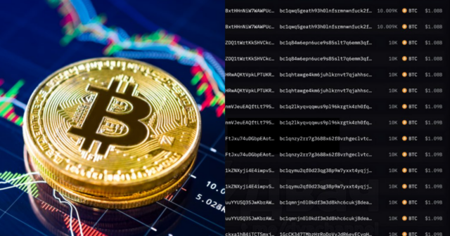 Yatmış Bitcoin nəhəngləri OYANDI: 14 ildən sonra 80 000 BTC hərəkətə gəldi – REAKSİYA