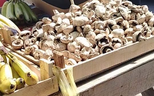 Günəş altında ZƏHƏR: Küçədə satılan qida məhsulları İstehlakçını risk altına atır – FOTOLAR