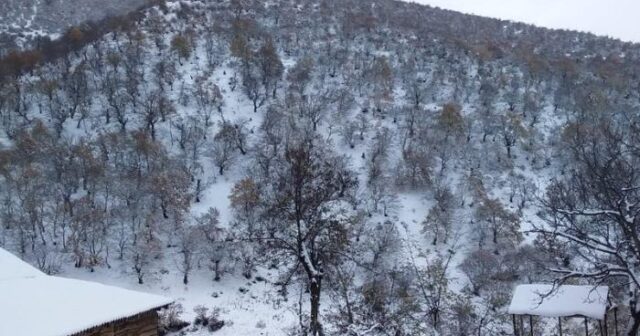 Bazar günü bəzi rayonlara intensiv qar yağacaq