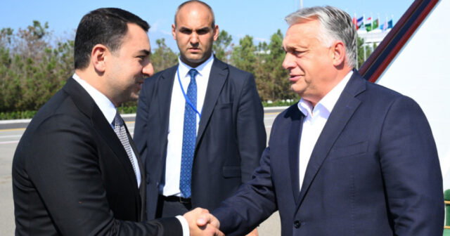 Orban TDT-nin Zirvə Görüşündə iştirak etmək üçün Qəbələdə səfərdədir