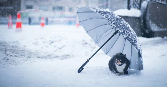 Sabah bəzi ərazilərə qar yağacaq