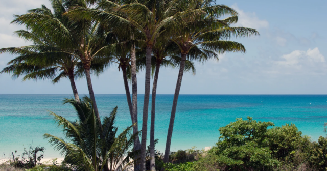 Gəmi sərnişini adada ÖLÜ TAPILDI – FOTO Gəmi sərnişini adada ÖLÜ TAPILDI – FOTO