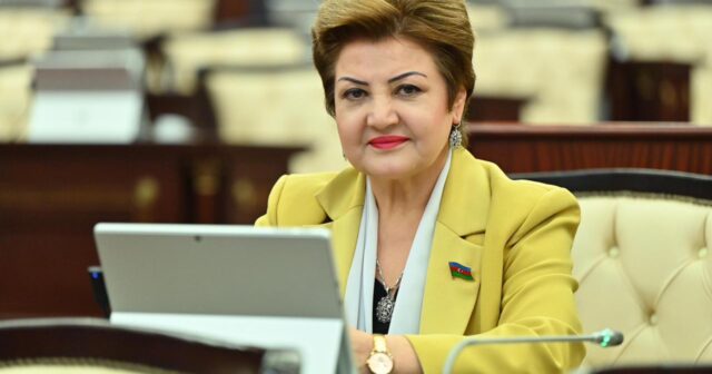 Parlamentdə Neftçalanın problemləri qaldırıldı: Tənzilə Rüstəmxanlı yol, su və işıqla bağlı təkliflər səsləndirdi