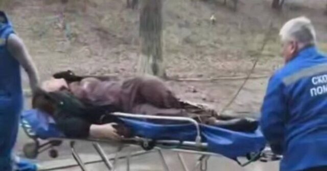 Dəhşətli anlar kameraya DÜŞDÜ: Nəhəng ağac qızın belini QIRDI – VİDEO