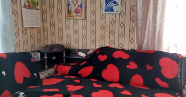 QƏRİBƏ HADİSƏ: Yüzlərlə insanın axtardığı uşaq divanın altından TAPILDI QƏRİBƏ HADİSƏ: Yüzlərlə insanın axtardığı uşaq divanın altından TAPILDI