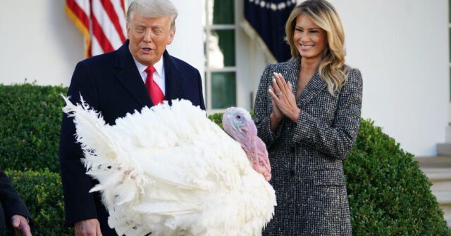 Şükran Günü ənənəsi: Tramp “Qobbl” adlı hinduşkanı ƏFV ETDİ – VİDEO