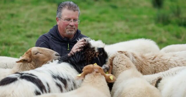 Qeyri-adi yundan hazırlanan geyimlər nümayiş olundu – FOTO