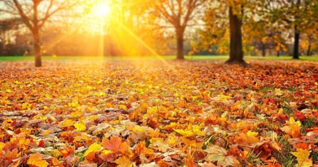 Sabah 24 dərəcə isti olacaq – PROQNOZ Sabah 24 dərəcə isti olacaq – PROQNOZ