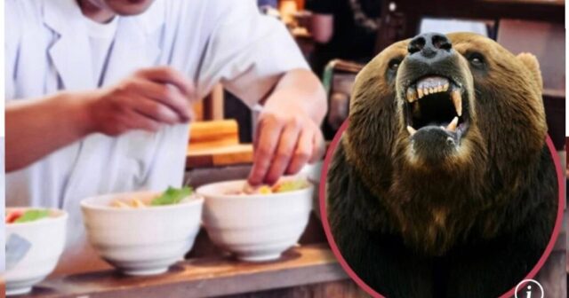 Yaponiyada AYI HÜCUMU: Aşpaz klassik cüdo fəndi ilə CANINI QURTARDI