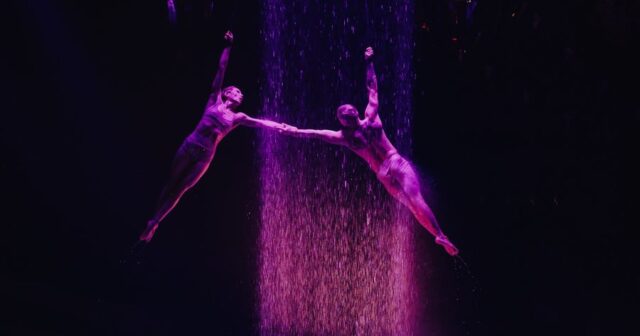 Sirkdə FACİƏ: Akrobat şou zamanı YIXILDI – VİDEO