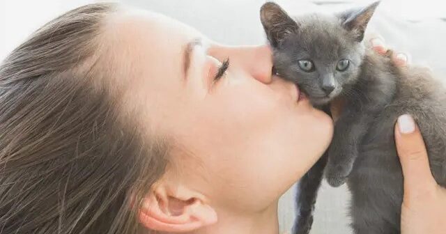 Alimlər: Pişiklər insan ürək döyüntüsü ilə sinxronlaşa bilir – VİDEO