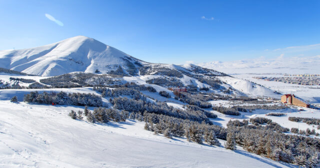 Türkiyədə ana və 5 yaşlı oğlu dağlarda donaraq ÖLDÜ – FOTO