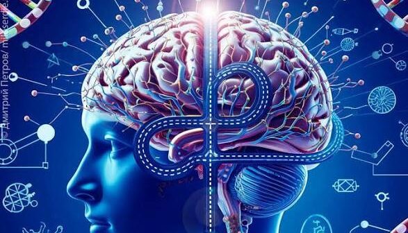 Qocalığın qarşısını alan infraqırmızı terapiya TƏQDİM EDİLDİ