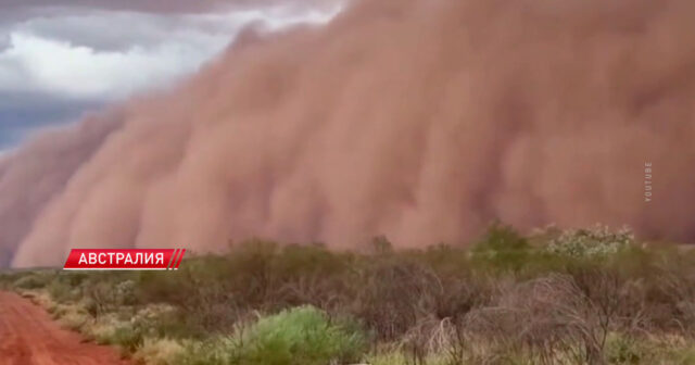 Avstraliyada QORXULU MƏNZƏRƏ: Nəhəng toz fırtınası səhranı “UDDU” – VİDEO