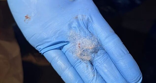 8 yük maşını ət YARARSIZ oldu – 2 milyon manatlıq ət MƏHV EDİLƏ BİLƏR