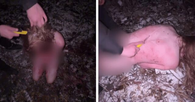 Məktəbli qıza dəhşətli işgəncələr VERİLDİ – İki gənc HƏBS EDİLDİ – FOTO/VİDEO (18+)