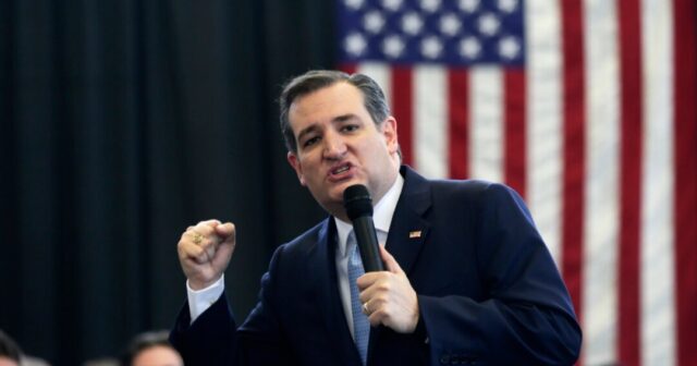 ABŞ senatoru: İndi bütün dünya Amerikadan qorxur – VİDEO