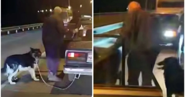 Tükürpədən QƏDDARLIQ: İtləri maşına bağlayıb yolda sürüyən kişi SAXLANILDI – VİDEO Tükürpədən QƏDDARLIQ: İtləri maşına bağlayıb yolda sürüyən kişi SAXLANILDI – VİDEO