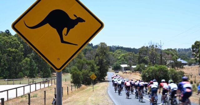 Avstraliyada velosiped yarışında kenquru idmançıları yıxıb keçdi – VİDEO Avstraliyada velosiped yarışında kenquru idmançıları yıxıb keçdi – VİDEO