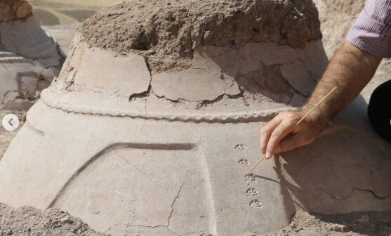 2025-ci ildə Türkiyənin arxeoloji kəşfləri – FOTOLAR