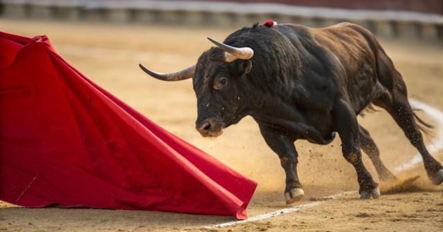 Korrida festivalında QORXULU ANLAR: Öküz gənc qızı ağır YARALADI – VİDEO Korrida festivalında QORXULU ANLAR: Öküz gənc qızı ağır YARALADI – VİDEO