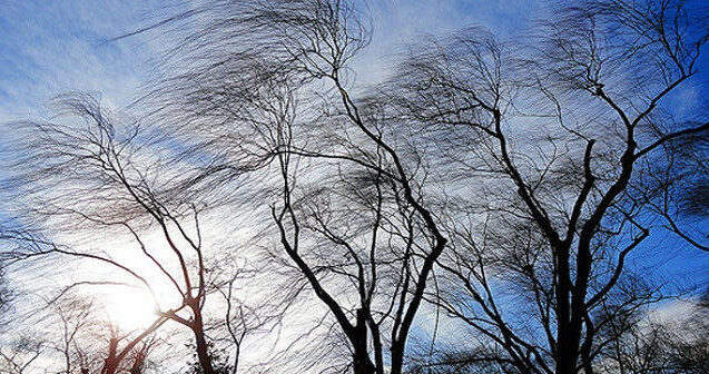 Bəzi yerlərdə külək güclənib – FAKTİKİ HAVA