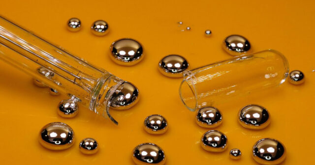 Mağazadan alınan balıq paketindən CİVƏ ÇIXDI: Müştərilər məhsulun yarısını artıq YEYİB – FOTO Mağazadan alınan balıq paketindən CİVƏ ÇIXDI: Müştərilər məhsulun yarısını artıq YEYİB – FOTO