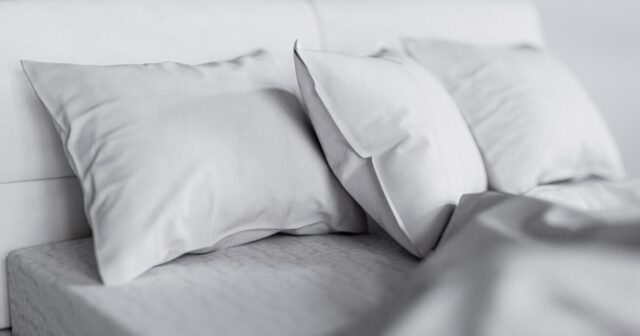 Məşhur brendlərin yastıqlarında gənə və toksik maddələr TAPILDI – FOTO