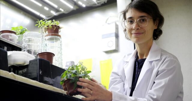 Türkiyədən ELMİ İNQİLAB: Ay və Mars torpağında tərəvəz YETİŞDİRİLDİ