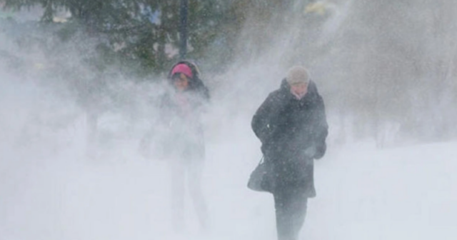 Azərbaycanda çovğun müşahidə olunur