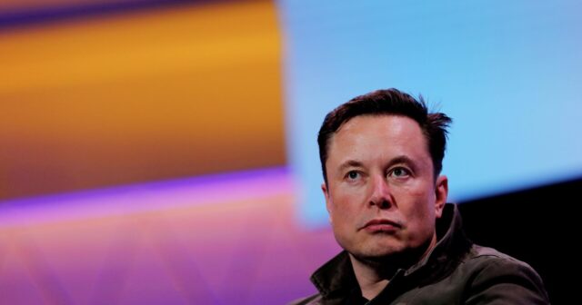 İlon Mask onun portretini çəkən pərəstişkarını BLOKLADI – FOTO