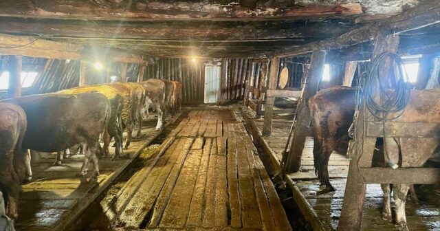 Yakutiyada QULDARLIQ: Ata və oğul psixi xəstəni zəncirləyərək kölə kimi İŞLƏTDİ – VİDEO