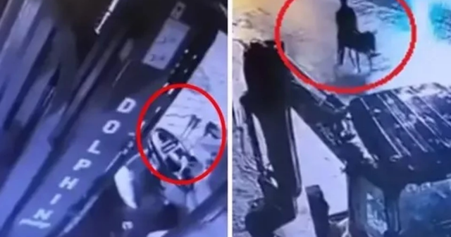 Kayseridə maraqlı SOYĞUN: Zərgərlik mağazasını qarət edib uzunqulaqla QAÇDI – VİDEO