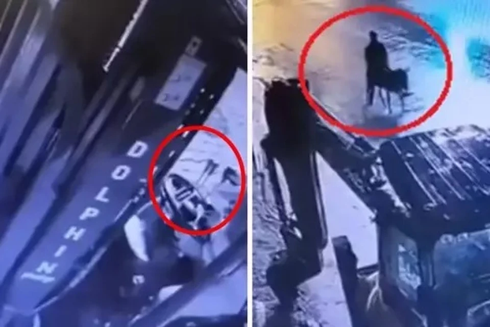 Kayseridə maraqlı SOYĞUN: Zərgərlik mağazasını qarət edib uzunqulaqla QAÇDI – VİDEO