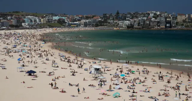 Floridada çimərlikdə ATIŞMA: Naməlum şəxs AXTARIŞDADIR – VİDEO