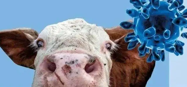 Çində yeni dabaq xəstəliyi AŞKARLANDI: Vaksinlər TƏSİRSİZDİR