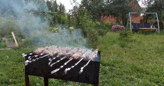 Bağlarda tonqal qalamaq və kabab çəkmək QADAĞAN EDİLİR: Cərimələr SƏRTLƏŞDİRİLDİ