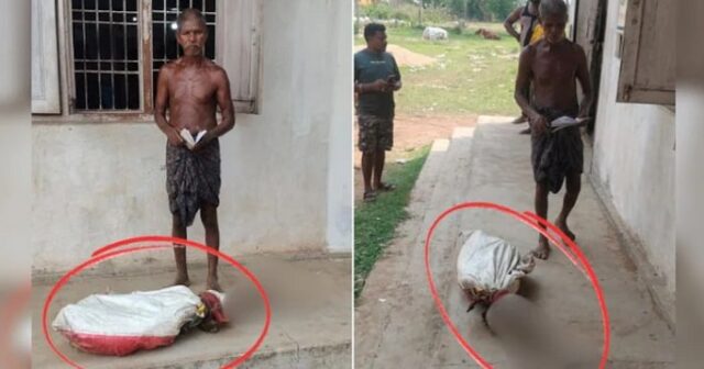 Bacısının hesabındakı pulu çıxarmaq üçün cəsədini qəbirdən çıxarıb banka APARDI – VİDEO