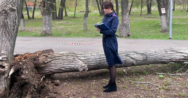 Samarada ağac uşaqların üzərinə AŞDI: 13 yaşlı qız DÜNYASINI DƏYİŞDİ – FOTO/VİDEO