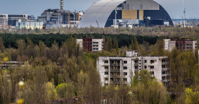 Olmayan rayon şurasının qərarı: Çernobılda 200 hektar torpaq NECƏ ƏLƏ KEÇİRİLİB?