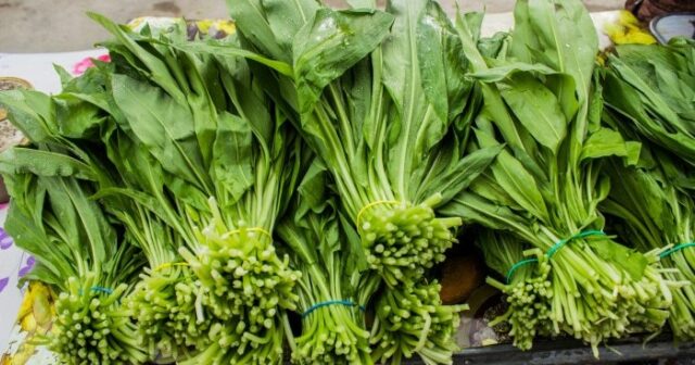 Bazardan aldığı bitkidən zəhərlənən həkim ÖLDÜ