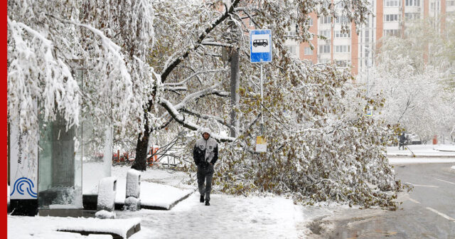Rusiyada 740 ağac AŞDI – 76 min nəfər İŞIQSIZ QALDI