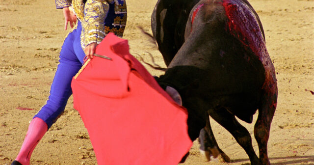 Korridada öküz toreadoru AĞIR YARALADI – VİDEO