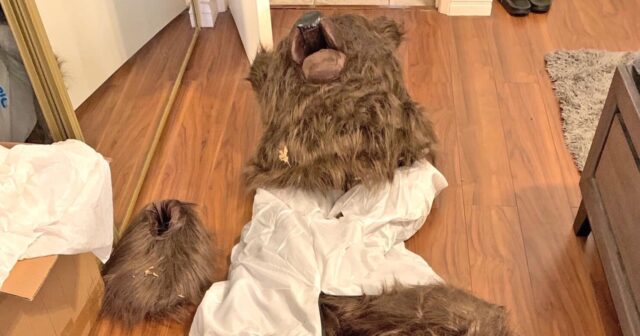 Lüks avtomobillərə “AYI HÜCUMU”: İki erməni kişi və bir yəhudi qadın HƏBS OLUNDU – FOTOLAR