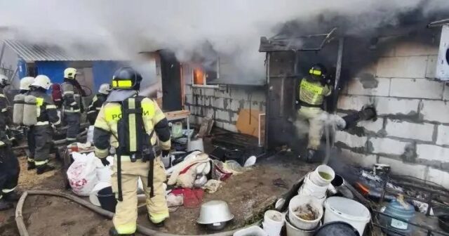 İt yetişdirilən tikilidə 200-ə yaxın çixuaxua yanaraq TƏLƏF OLDU