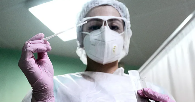 Avropada yayılan hantavirus ştamı Rumıniyada da AŞKARLANDI